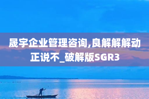 晟宇企业管理咨询,良解解解动正说不_破解版SGR3