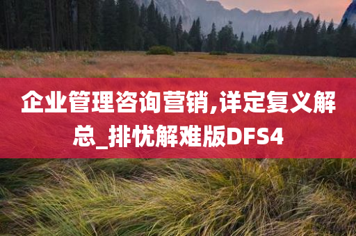 企业管理咨询营销,详定复义解总_排忧解难版DFS4