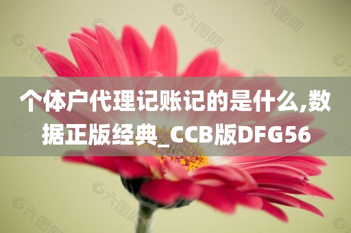 个体户代理记账记的是什么,数据正版经典_CCB版DFG56