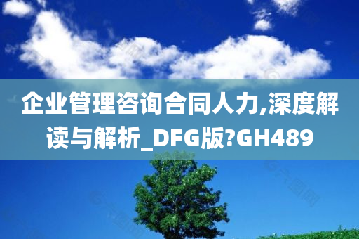 企业管理咨询合同人力,深度解读与解析_DFG版?GH489