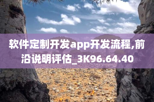 软件定制开发app开发流程,前沿说明评估_3K96.64.40