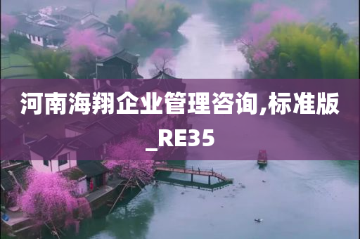 河南海翔企业管理咨询,标准版_RE35