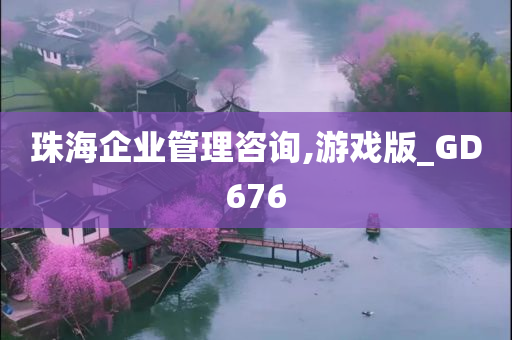 珠海企业管理咨询,游戏版_GD676