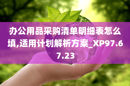 办公用品采购清单明细表怎么填,适用计划解析方案_XP97.67.23