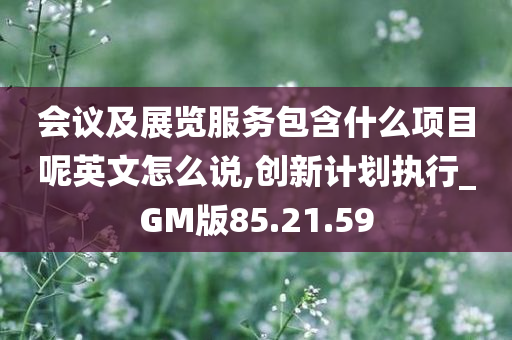 会议及展览服务包含什么项目呢英文怎么说,创新计划执行_GM版85.21.59