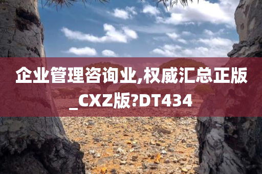 企业管理咨询业,权威汇总正版_CXZ版?DT434