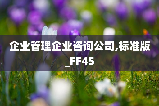 企业管理企业咨询公司,标准版_FF45