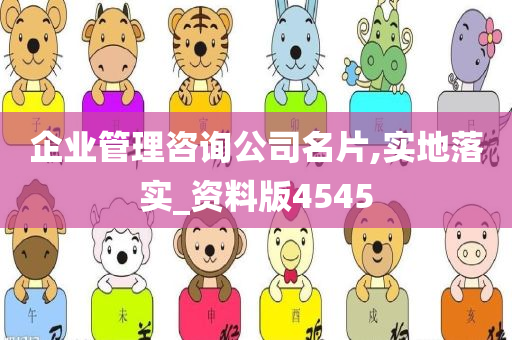 企业管理咨询公司名片,实地落实_资料版4545