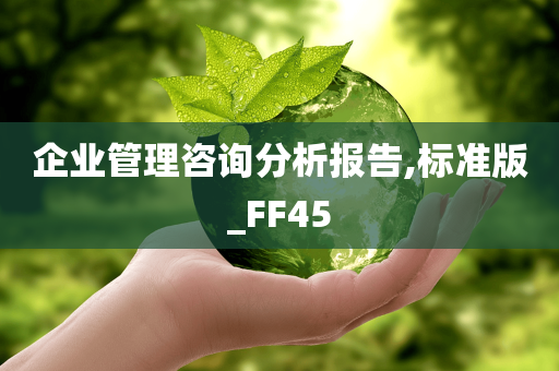 企业管理咨询分析报告,标准版_FF45