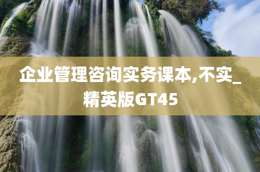 企业管理咨询实务课本,不实_精英版GT45