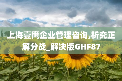 上海壹鹰企业管理咨询,析究正解分战_解决版GHF87