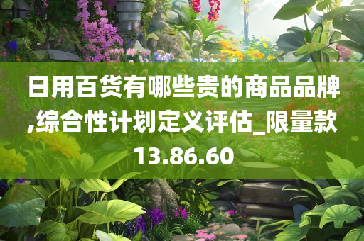 日用百货有哪些贵的商品品牌,综合性计划定义评估_限量款13.86.60