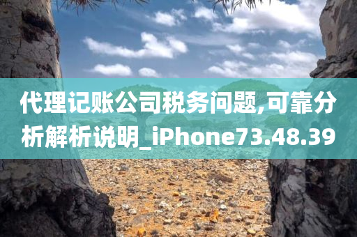 代理记账公司税务问题,可靠分析解析说明_iPhone73.48.39