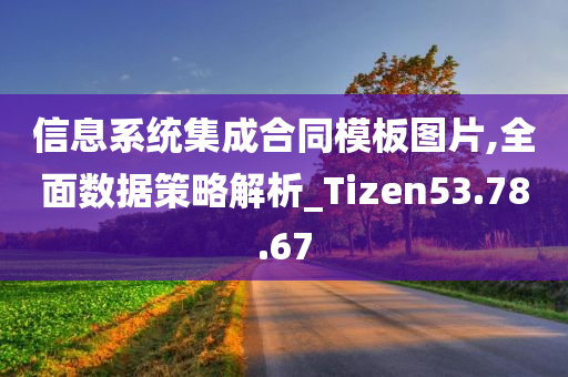 信息系统集成合同模板图片,全面数据策略解析_Tizen53.78.67