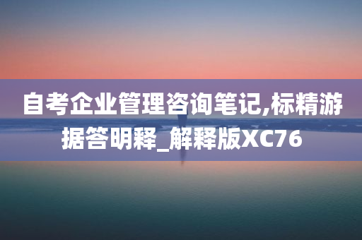 自考企业管理咨询笔记,标精游据答明释_解释版XC76