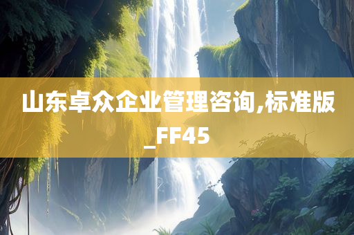 山东卓众企业管理咨询,标准版_FF45