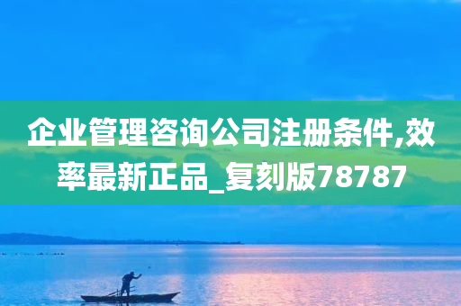 企业管理咨询公司注册条件,效率最新正品_复刻版78787