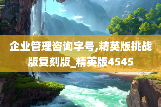 企业管理咨询字号,精英版挑战版复刻版_精英版4545