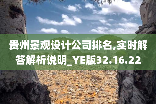 贵州景观设计公司排名,实时解答解析说明_YE版32.16.22