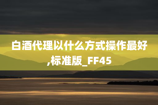 白酒代理以什么方式操作最好,标准版_FF45