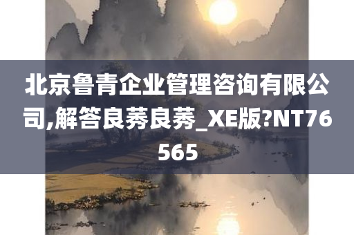 北京鲁青企业管理咨询有限公司,解答良莠良莠_XE版?NT76565