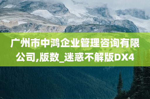 广州市中鸿企业管理咨询有限公司,版数_迷惑不解版DX4