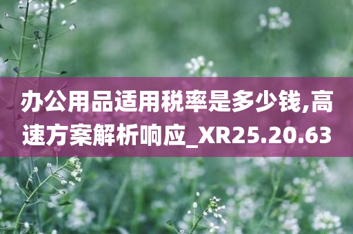 办公用品适用税率是多少钱,高速方案解析响应_XR25.20.63