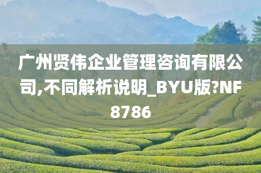 广州贤伟企业管理咨询有限公司,不同解析说明_BYU版?NF8786