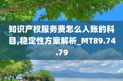 知识产权服务费怎么入账的科目,稳定性方案解析_MT89.74.79