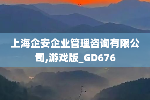 上海企安企业管理咨询有限公司,游戏版_GD676