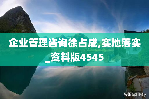 企业管理咨询徐占成,实地落实_资料版4545