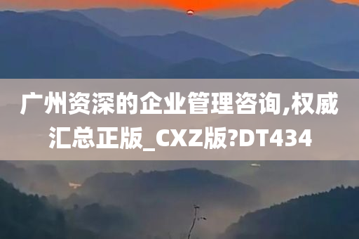 广州资深的企业管理咨询,权威汇总正版_CXZ版?DT434