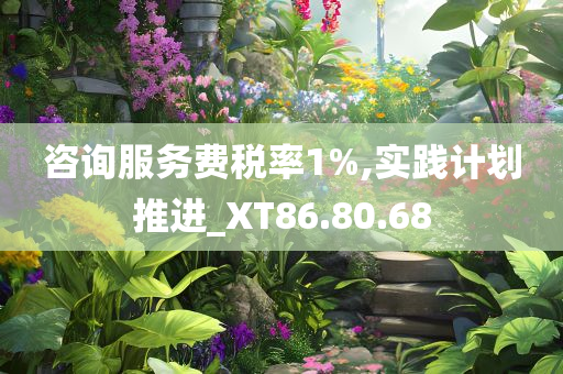 咨询服务费税率1%,实践计划推进_XT86.80.68