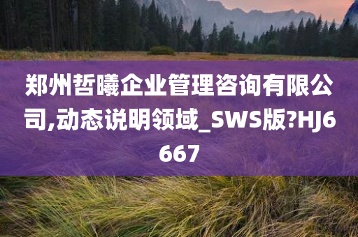 郑州哲曦企业管理咨询有限公司,动态说明领域_SWS版?HJ6667