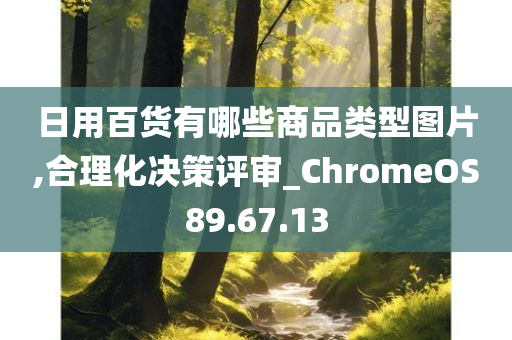 日用百货有哪些商品类型图片,合理化决策评审_ChromeOS89.67.13