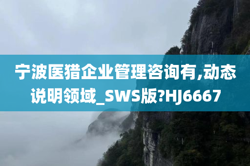 宁波医猎企业管理咨询有,动态说明领域_SWS版?HJ6667