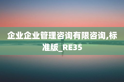 企业企业管理咨询有限咨询,标准版_RE35