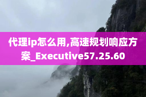 代理ip怎么用,高速规划响应方案_Executive57.25.60