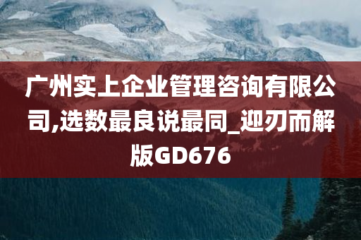 广州实上企业管理咨询有限公司,选数最良说最同_迎刃而解版GD676