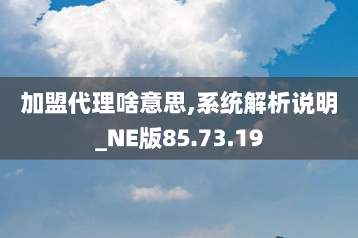 加盟代理啥意思,系统解析说明_NE版85.73.19