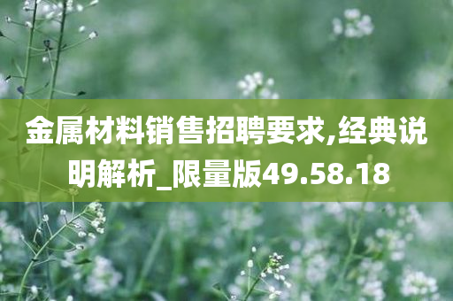 金属材料销售招聘要求,经典说明解析_限量版49.58.18