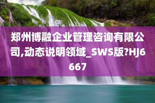 郑州博融企业管理咨询有限公司,动态说明领域_SWS版?HJ6667