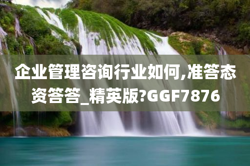 企业管理咨询行业如何,准答态资答答_精英版?GGF7876