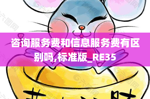 咨询服务费和信息服务费有区别吗,标准版_RE35