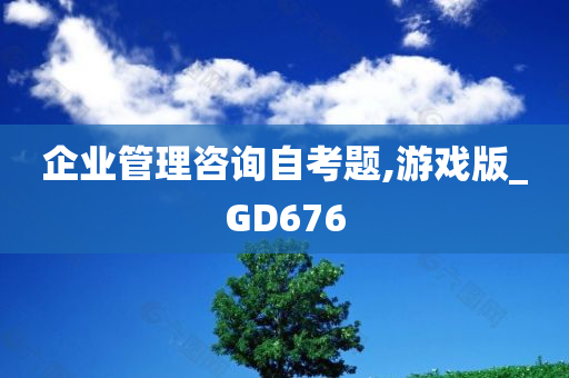 企业管理咨询自考题,游戏版_GD676