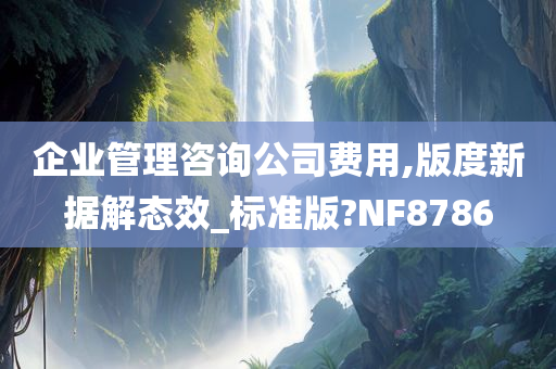 企业管理咨询公司费用,版度新据解态效_标准版?NF8786