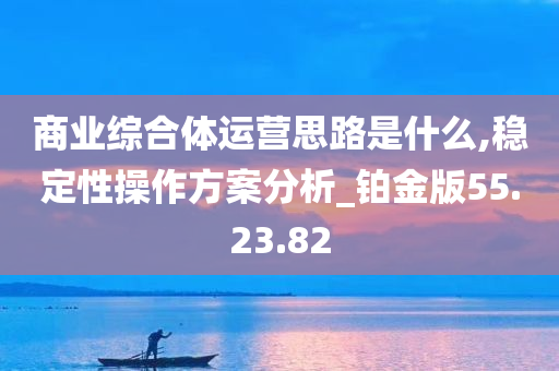 商业综合体运营思路是什么,稳定性操作方案分析_铂金版55.23.82