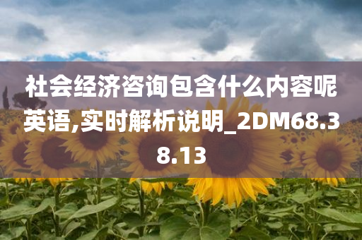 社会经济咨询包含什么内容呢英语,实时解析说明_2DM68.38.13