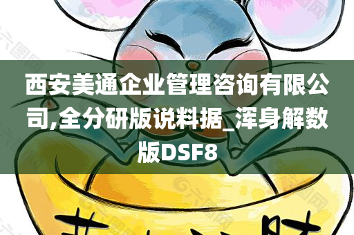 西安美通企业管理咨询有限公司,全分研版说料据_浑身解数版DSF8