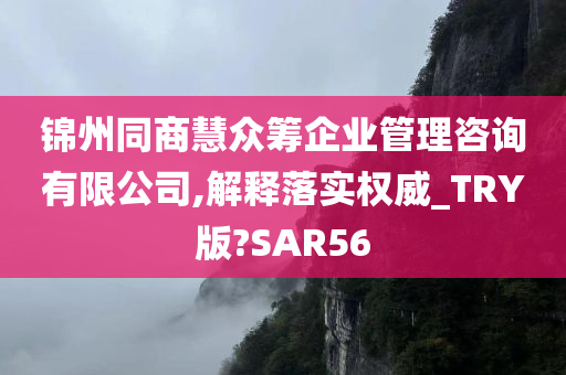 锦州同商慧众筹企业管理咨询有限公司,解释落实权威_TRY版?SAR56